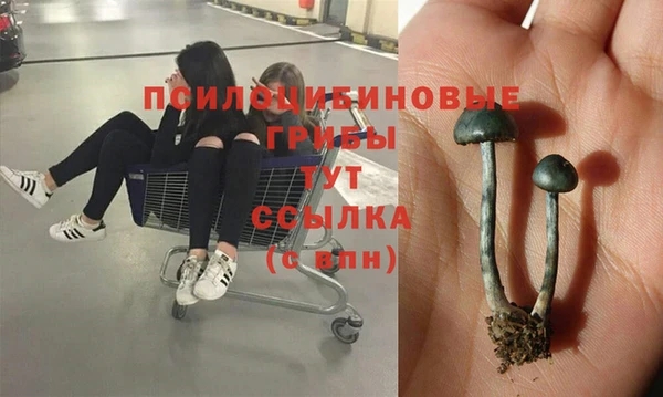 мескалин Нягань