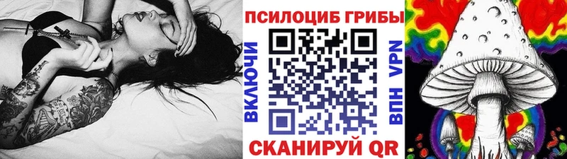 мега   Отрадное  Псилоцибиновые грибы Psilocybine cubensis 