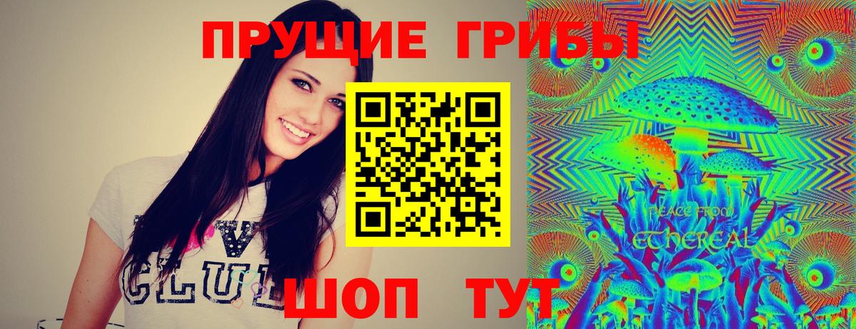 Псилоцибиновые грибы Psilocybine cubensis Отрадное
