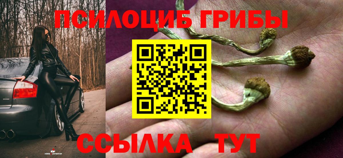 Отрадное  Галлюциногенные грибы GOLDEN TEACHER  Вход с VPN 